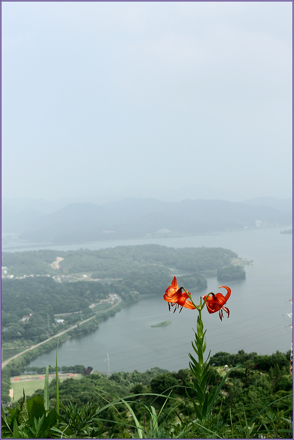 2010-06-16 194.jpg
