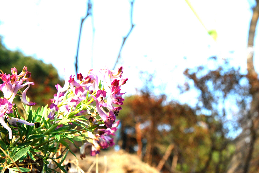꾸미기_겨운이와(완)크기변환_DSC_0352.JPG