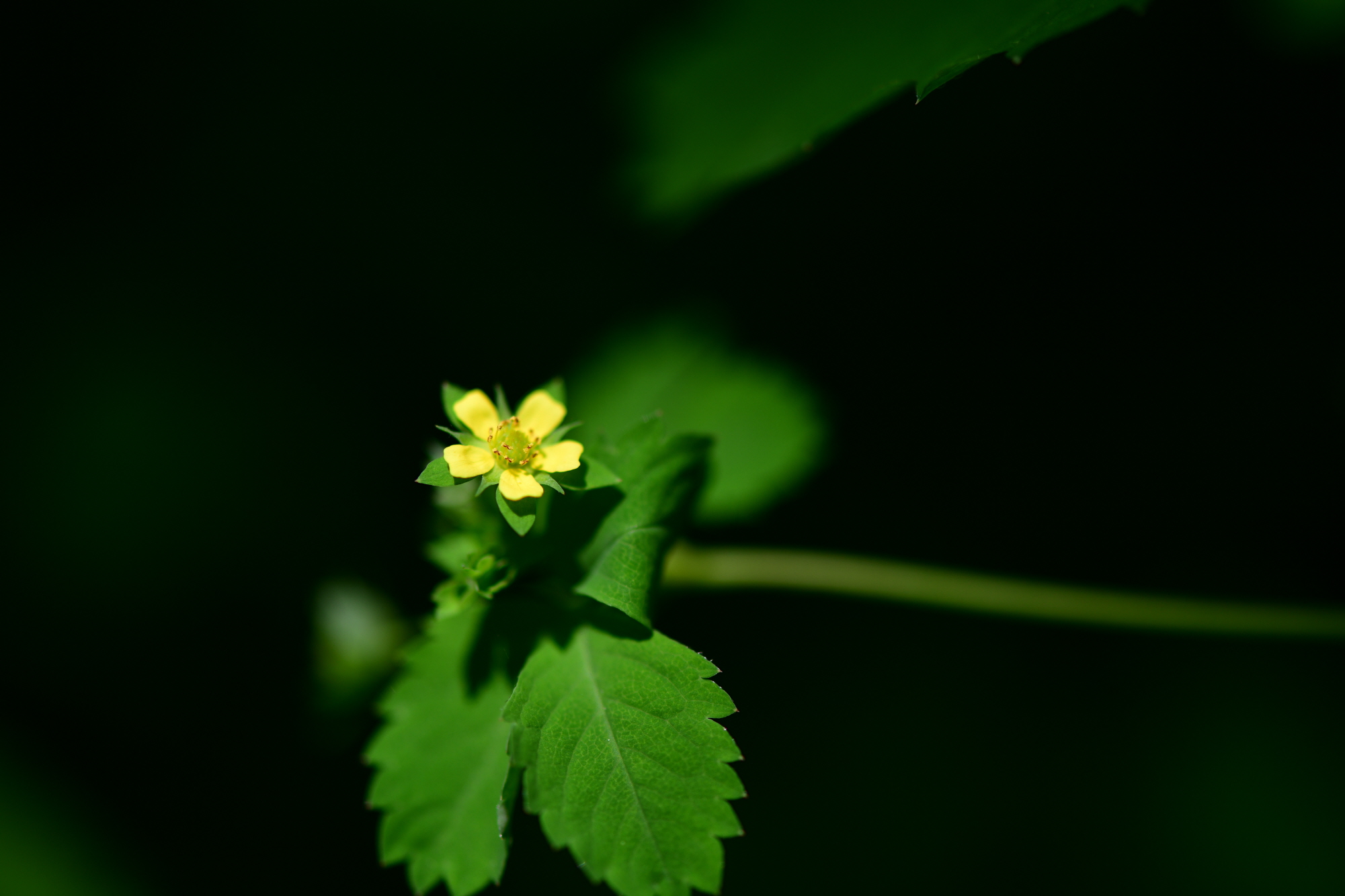 크기변환_DSC_5569.JPG