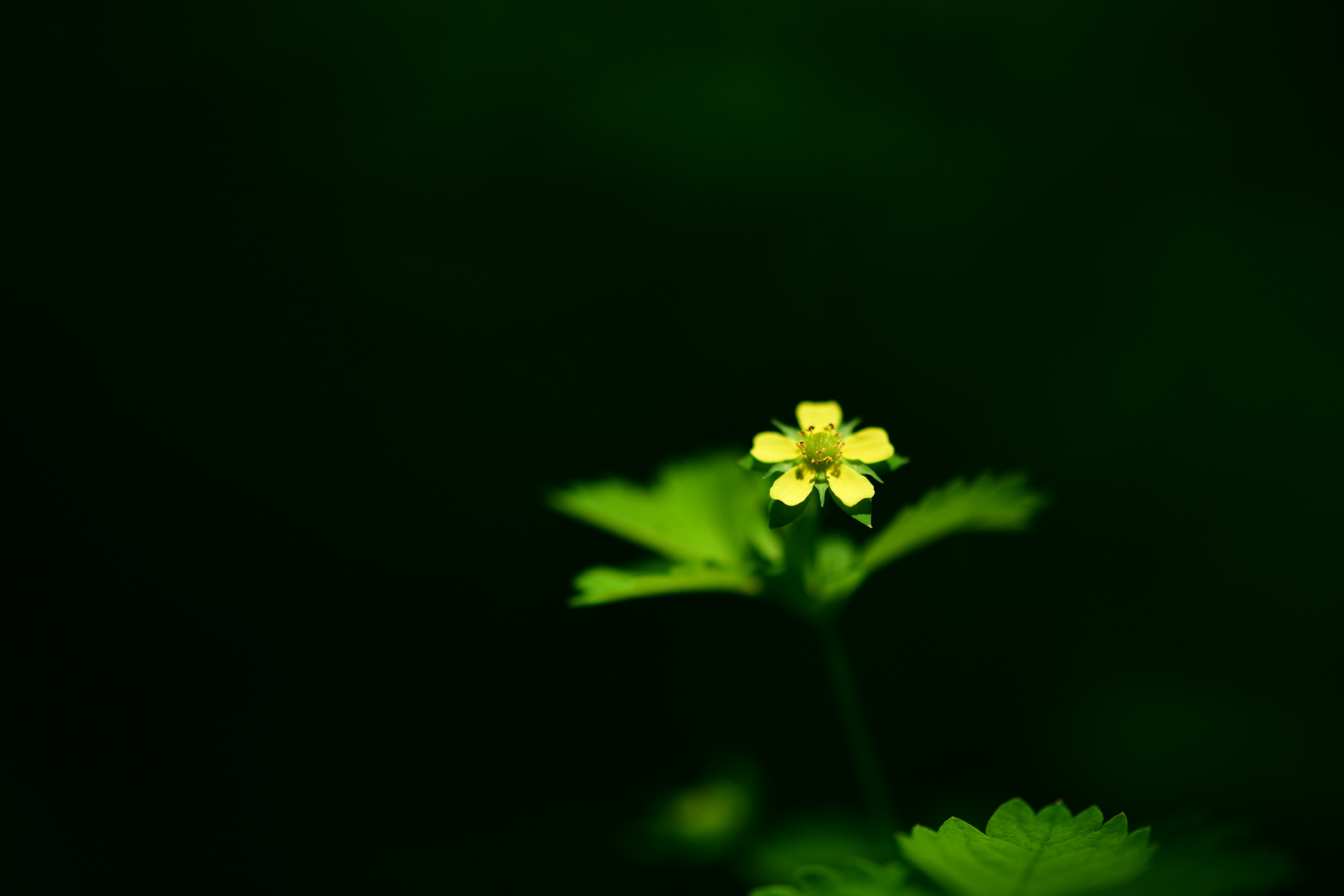 크기변환_DSC_5558.JPG