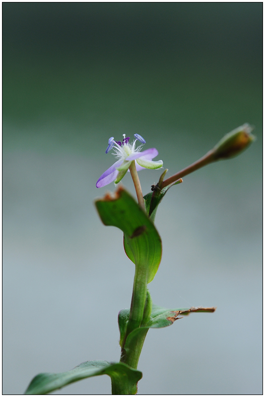 DSC_0304.jpg