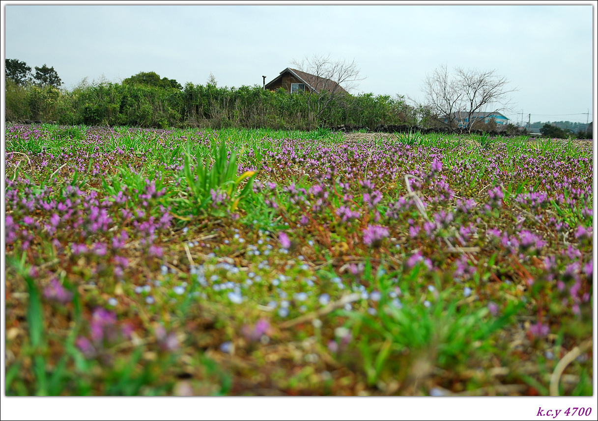 DSC_3916.jpg