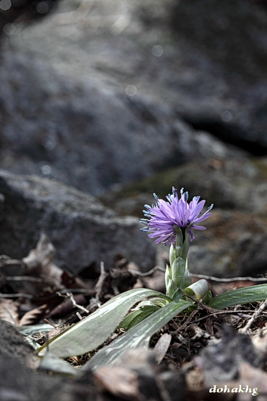 DPP_00019.jpg
