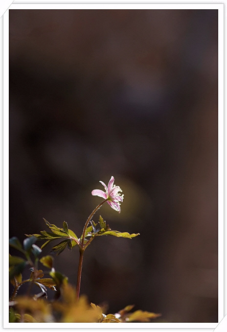 DSCF5735.JPG