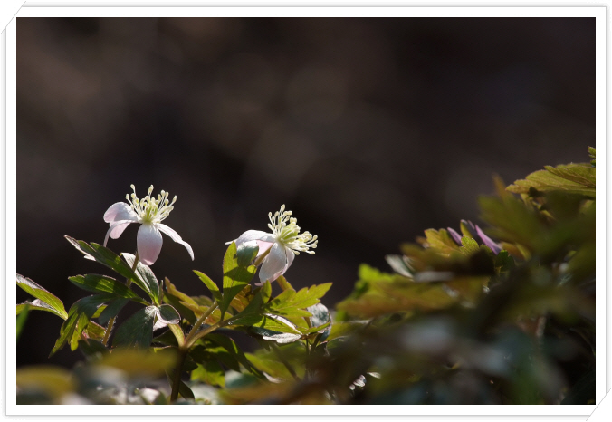 DSCF5721.JPG