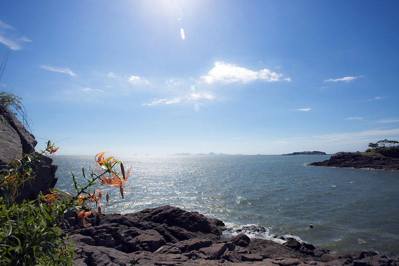 20130718_0111a-1.jpg
