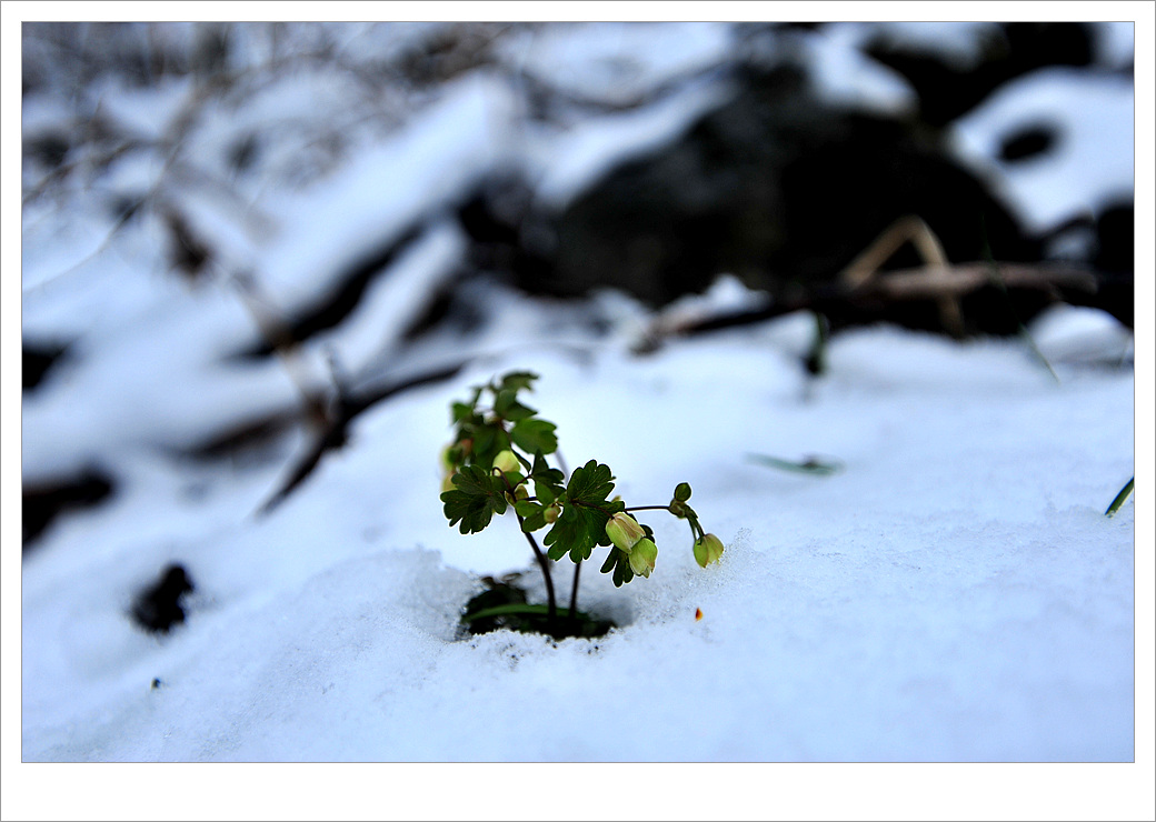 DSC_5183.jpg
