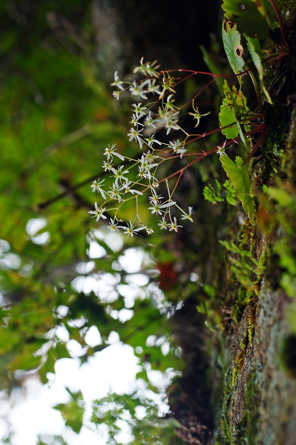 DSC03403.JPG