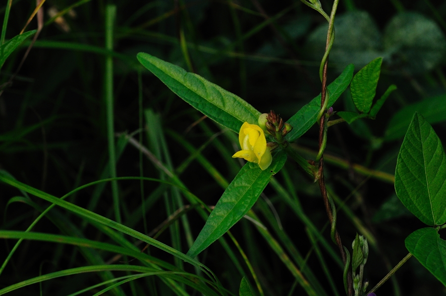DSC_5121.JPG