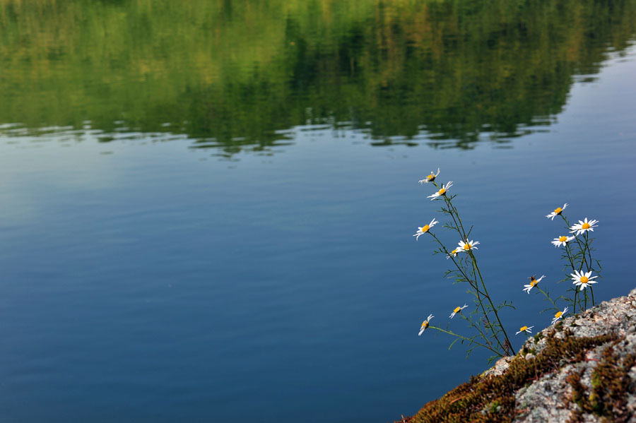 110925_0040-1.jpg