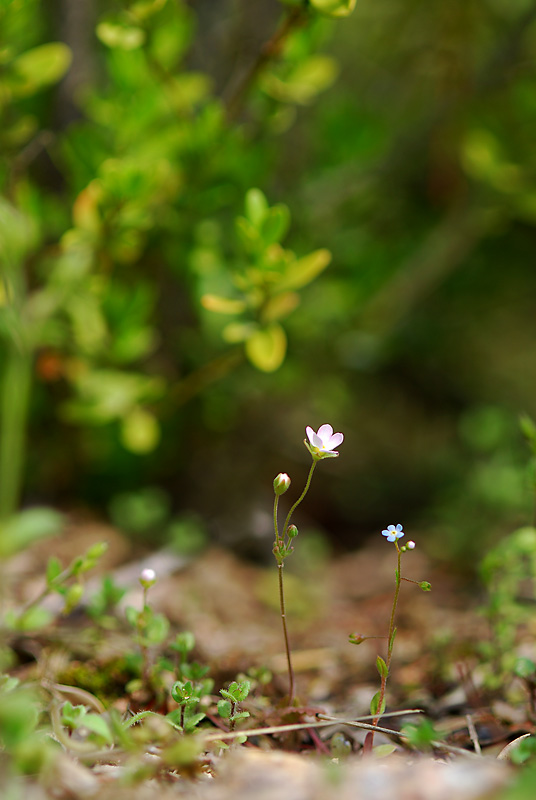 DSC_0178-1.jpg