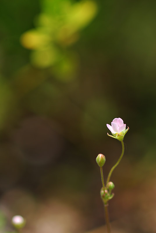 DSC_0013-1.jpg