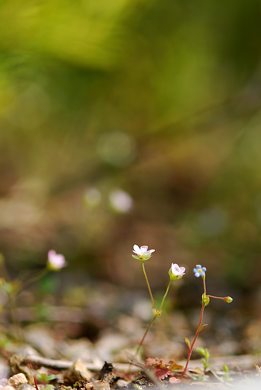 DSC_0147-1.jpg