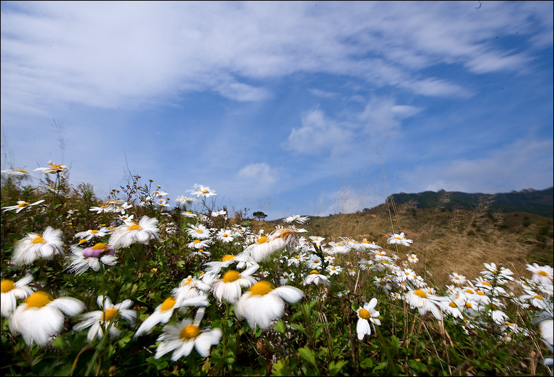 DSC_2977 1 copy.jpg