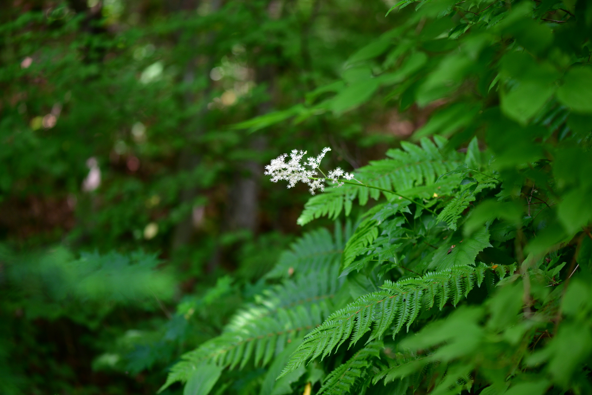 크기변환_DSC_5959.JPG