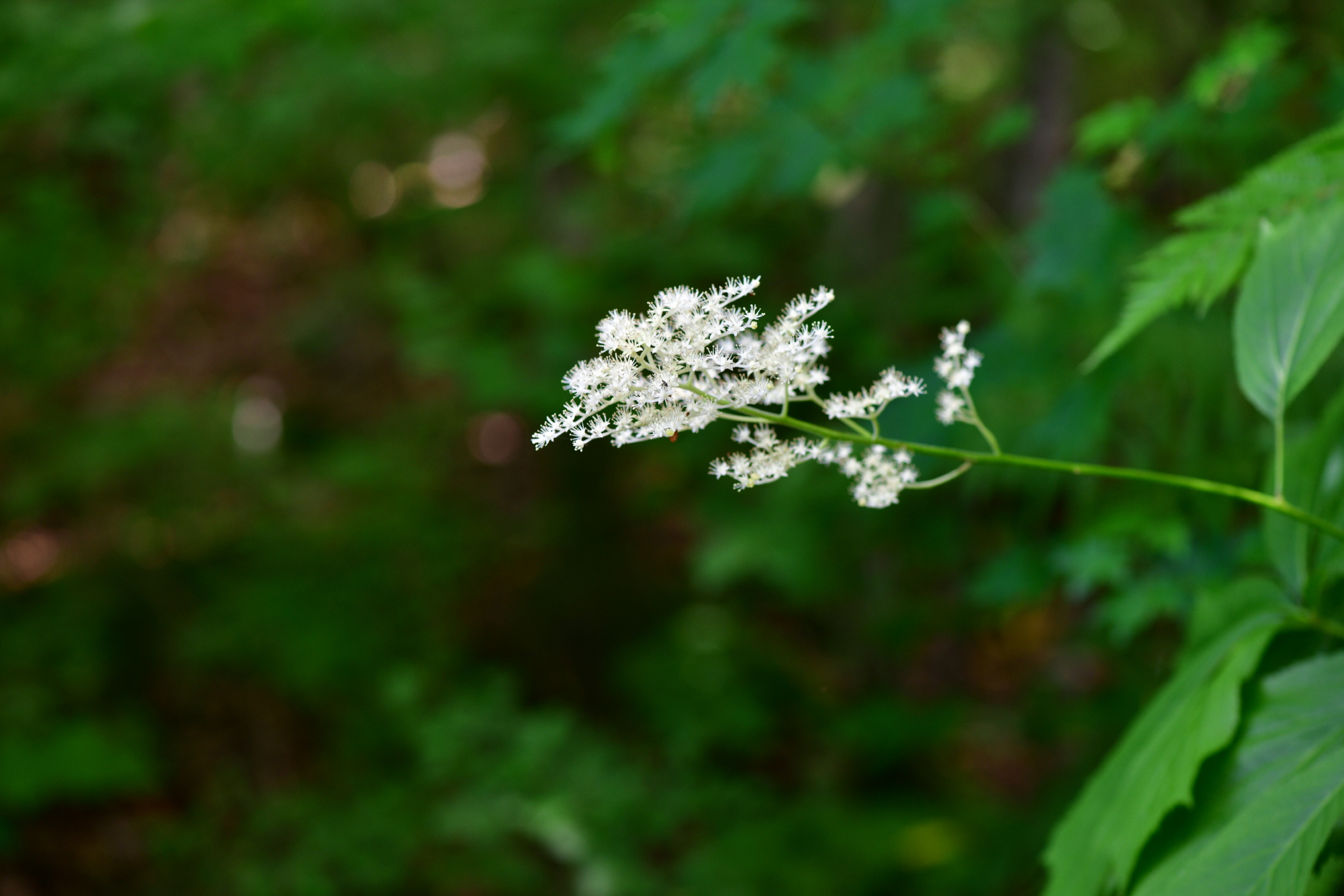 크기변환_DSC_6007.JPG