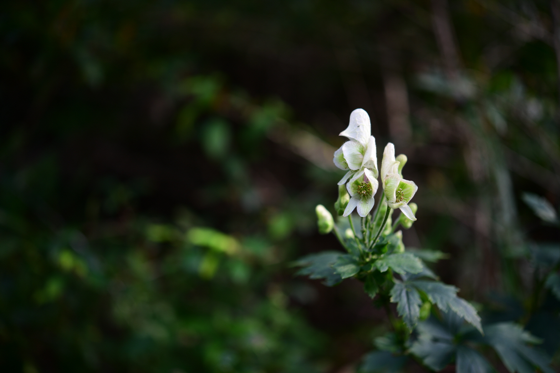 크기변환_DSC_7666.JPG