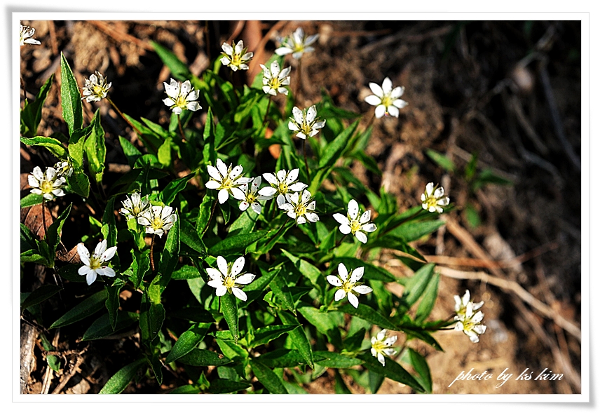 DSC_3030.jpg