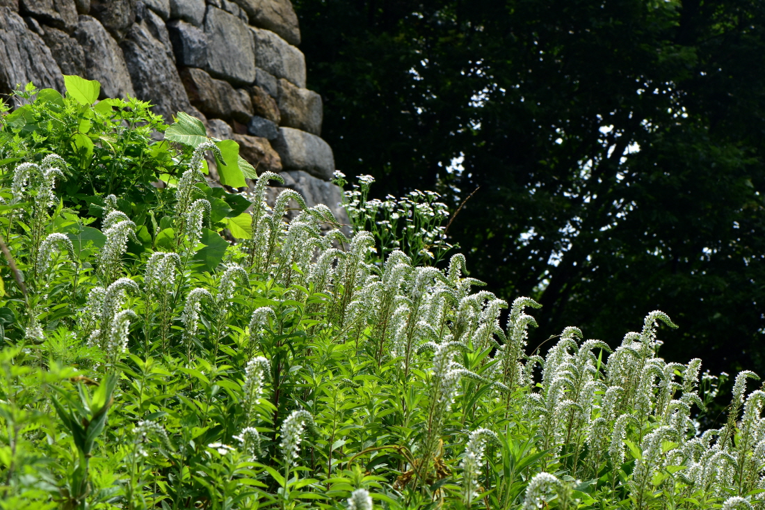 DSC_0573.JPG