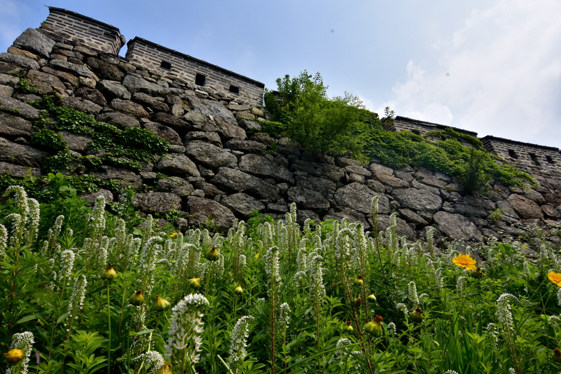 DSC_0590.JPG