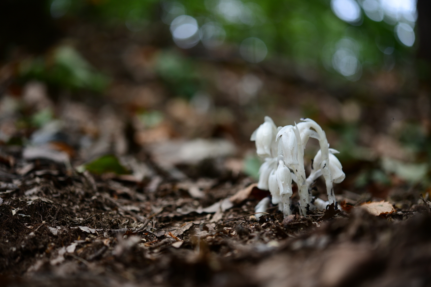 크기변환_DSC_5506.JPG
