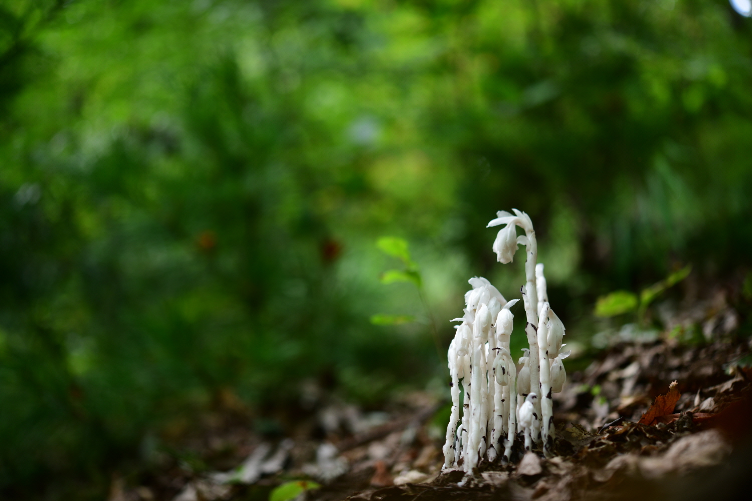 크기변환_DSC_5469.JPG