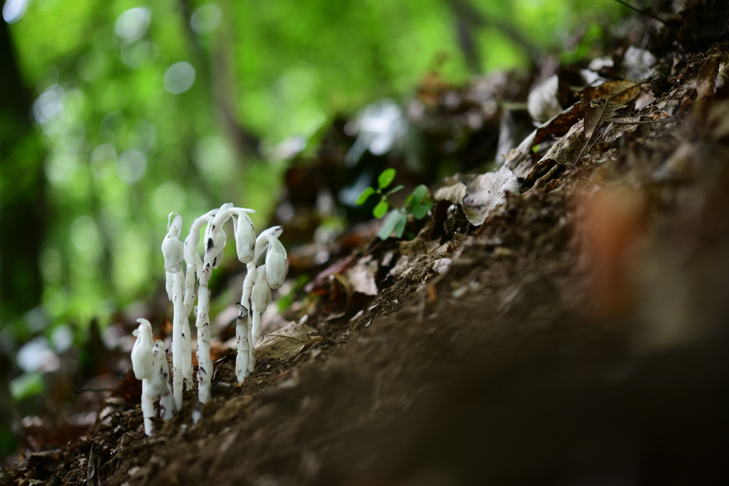 크기변환_DSC_5456.JPG