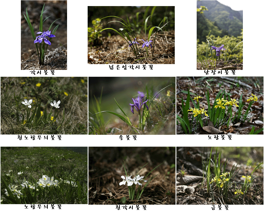 ContactSheet-001.gif