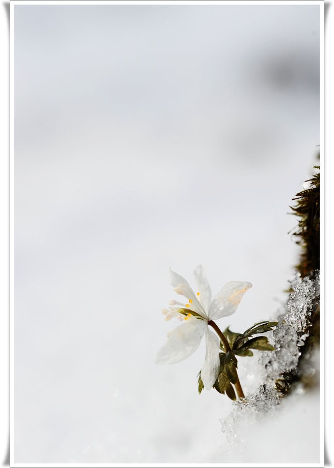 DSC_2653-1.jpg