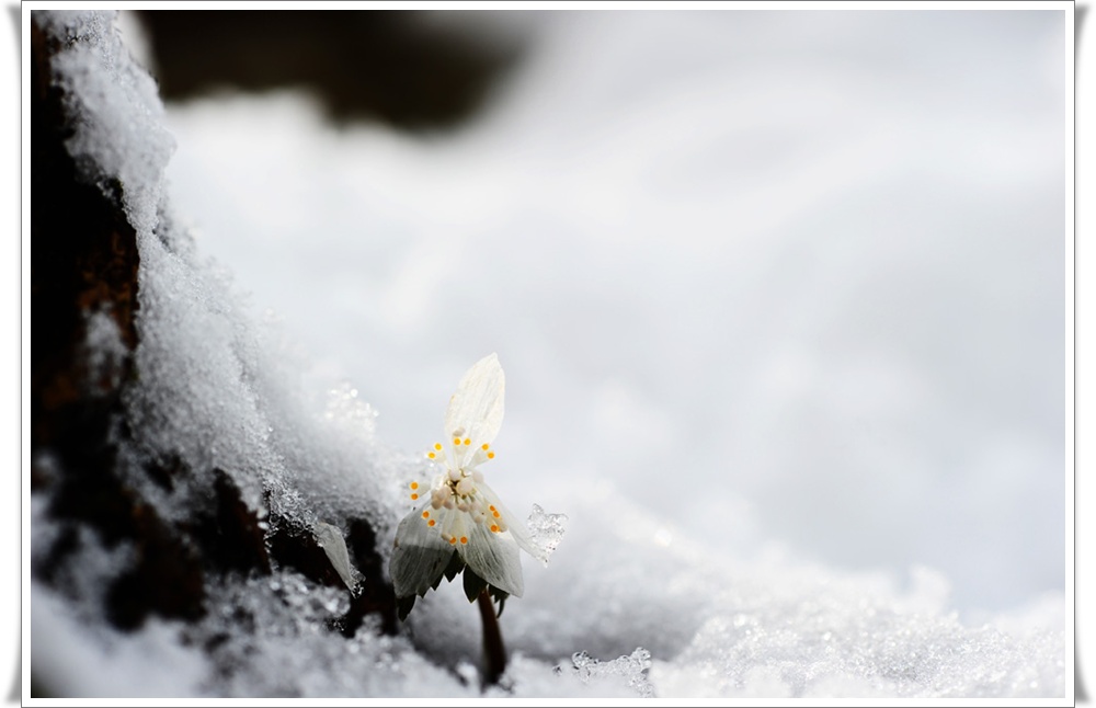 DSC_2679-1.jpg
