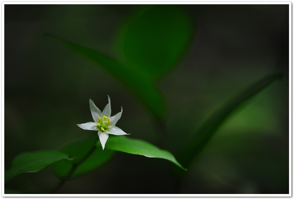 DSC_7807-1.jpg