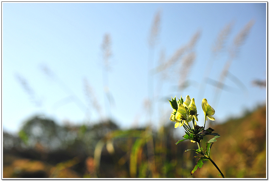 DSC_7657_190.jpg