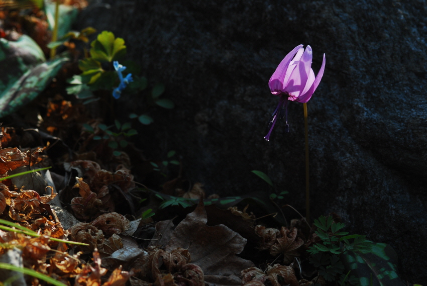 크기변환_DSC_3671.JPG