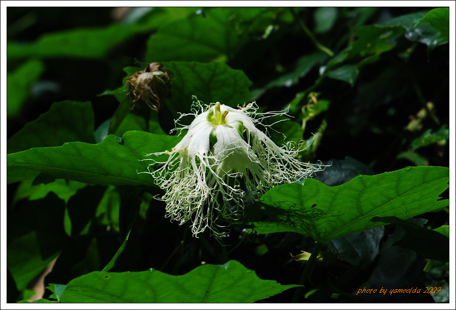 DSC_1235.jpg