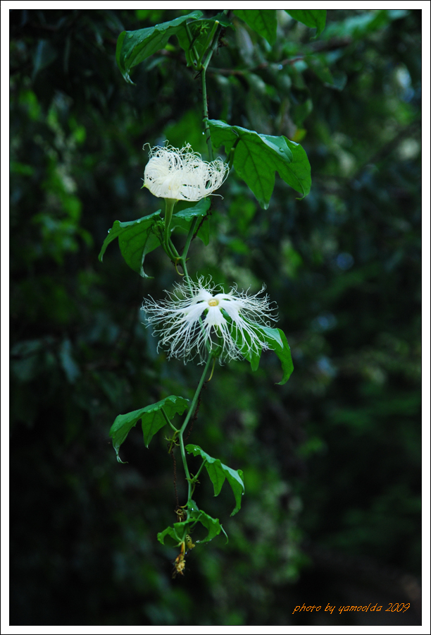 DSC_1071.jpg