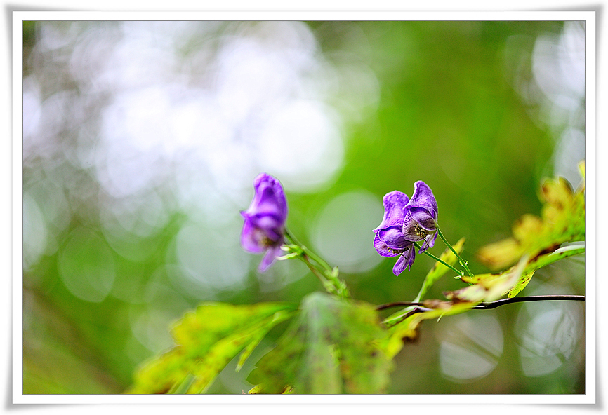 DSC_5764-1.jpg