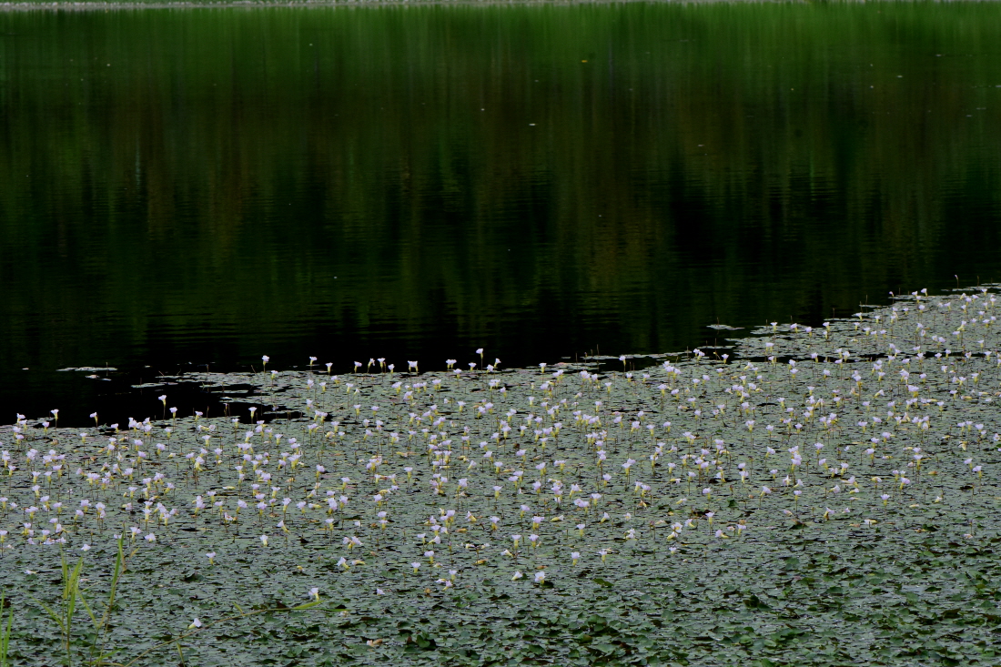 DSC_0395.JPG