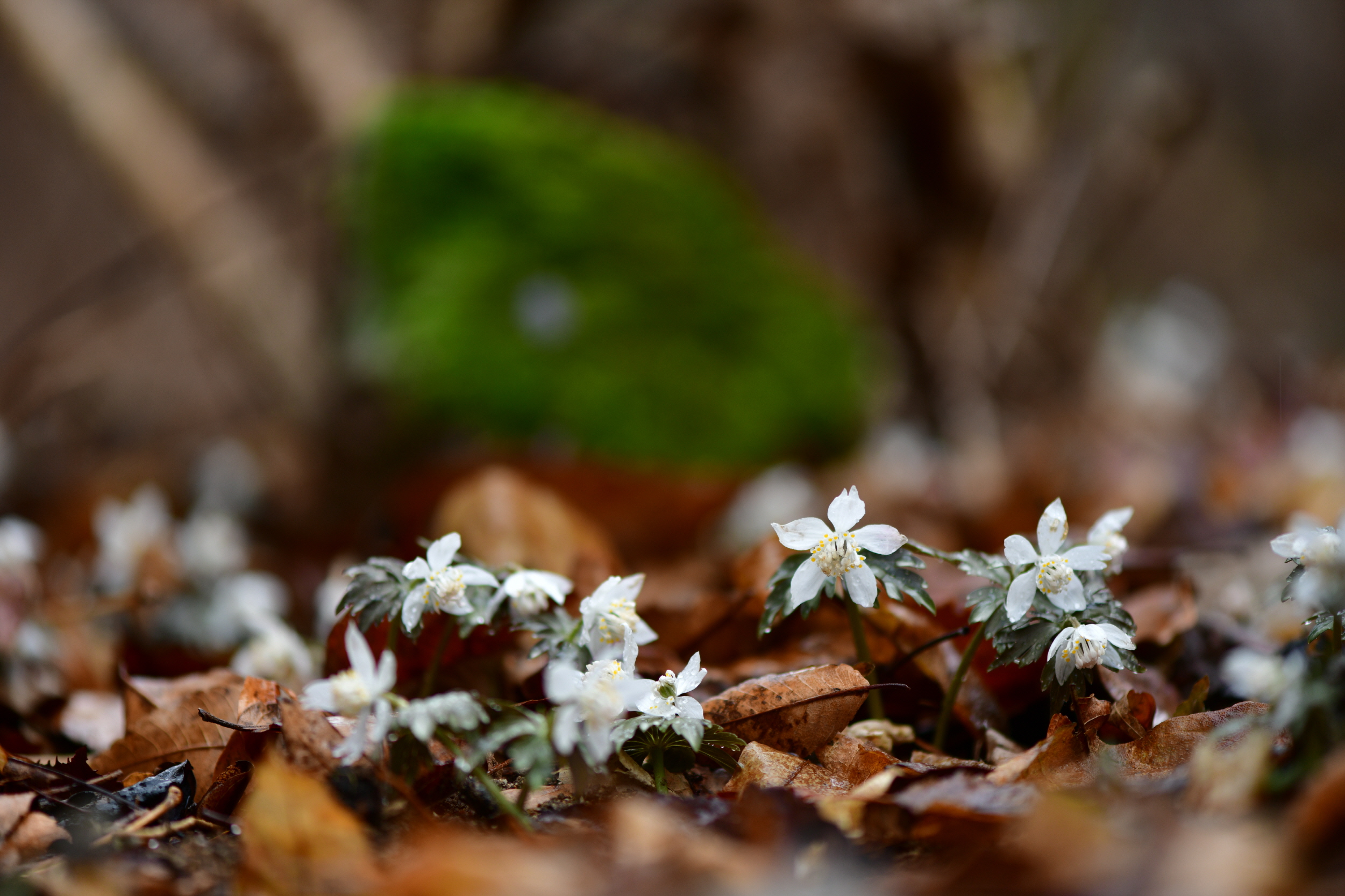 [크기변환]DSC_1284.JPG