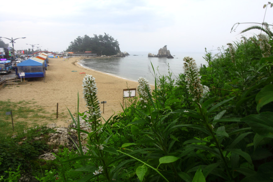 IMG_8976.jpg
