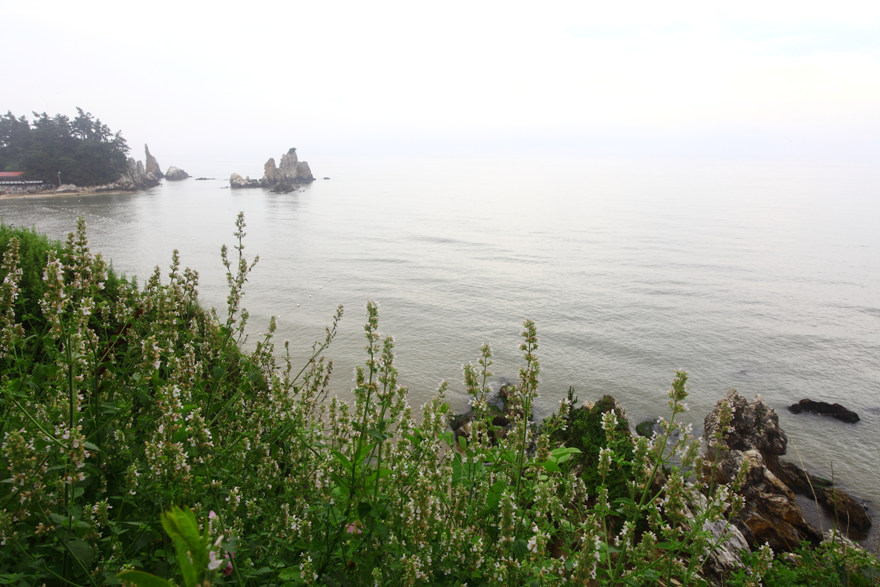 IMG_8959.jpg