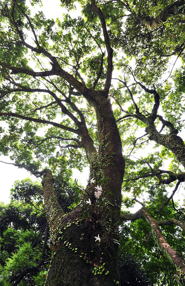 20120513_0151-1.jpg