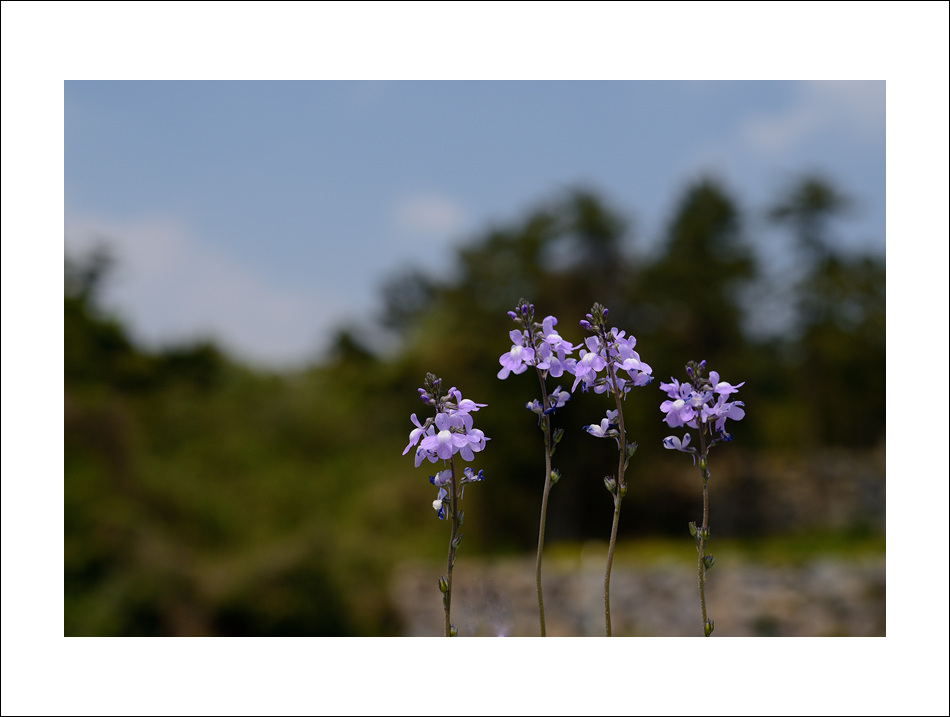 DSC_1400.jpg