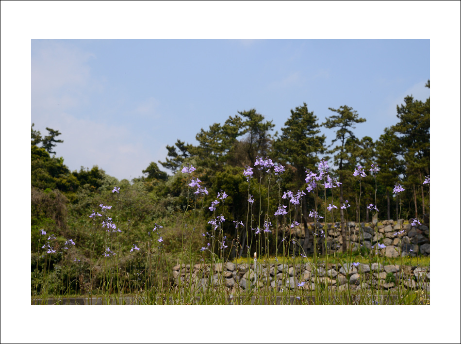 DSC_1409.jpg