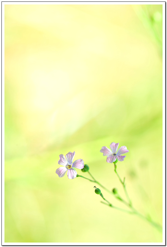 사진 467.jpg