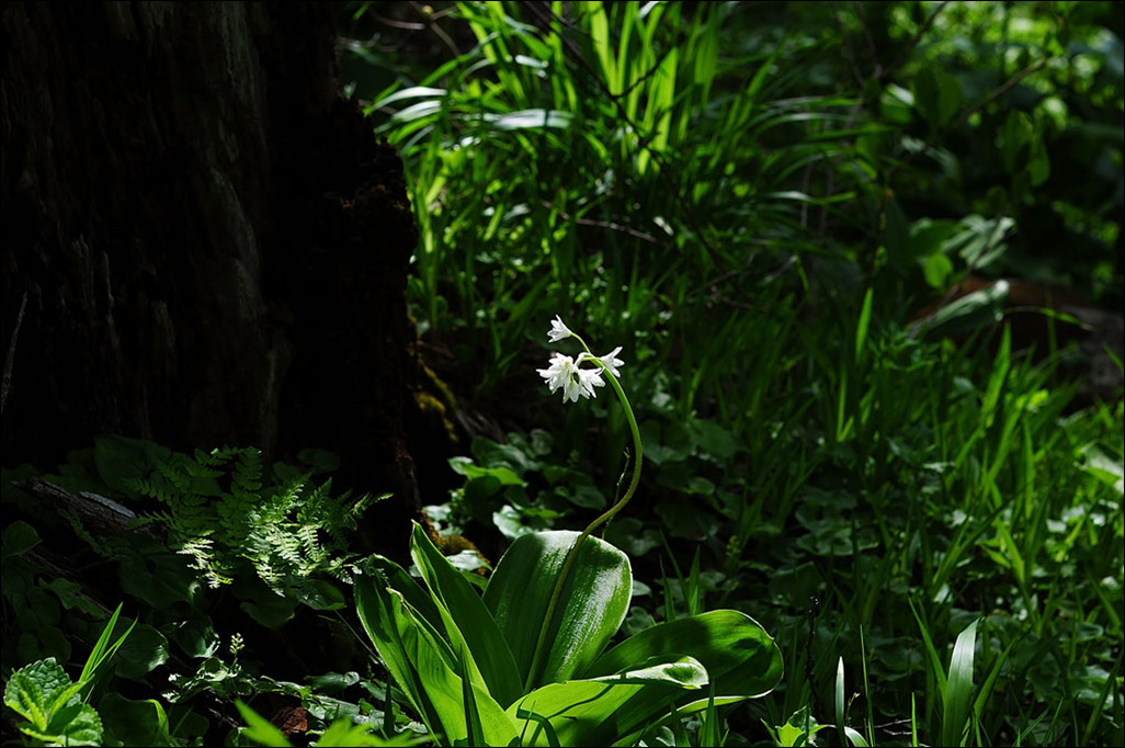 DSC_1328-1.jpg
