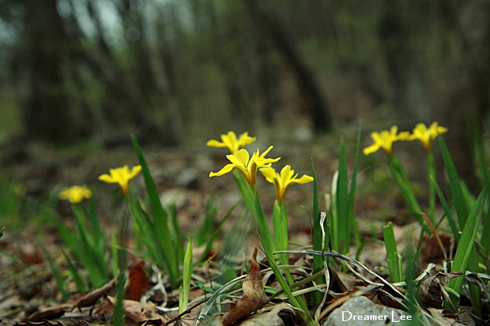 IMG_6745.JPG