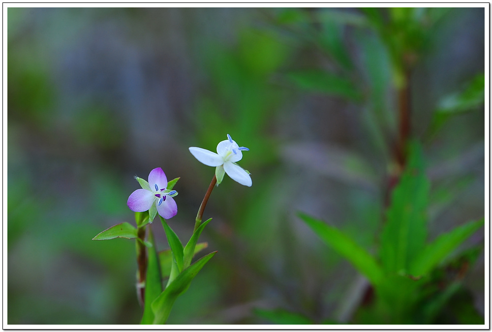 DSC_3595.jpg