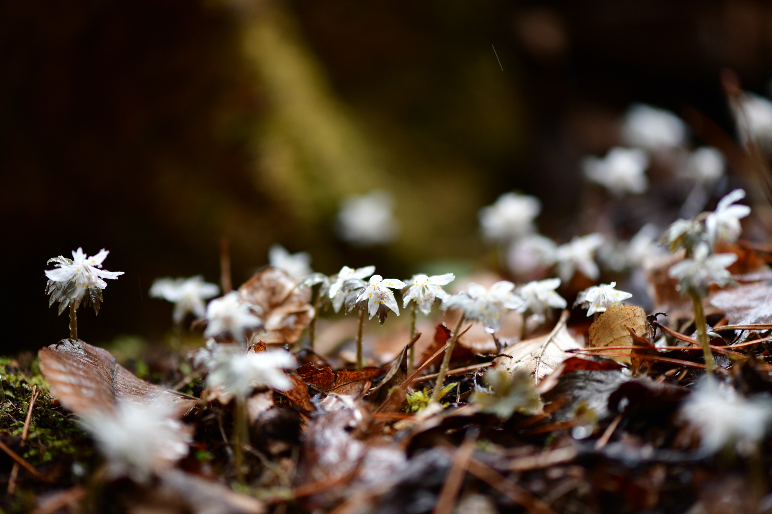 [크기변환]DSC_1359.JPG