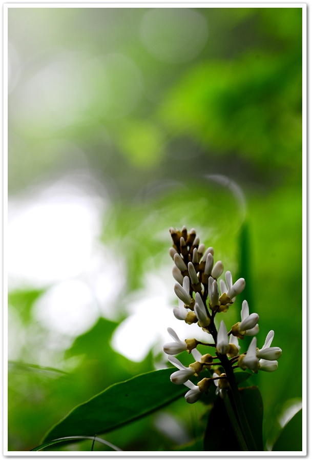 DSC_3141-1.jpg