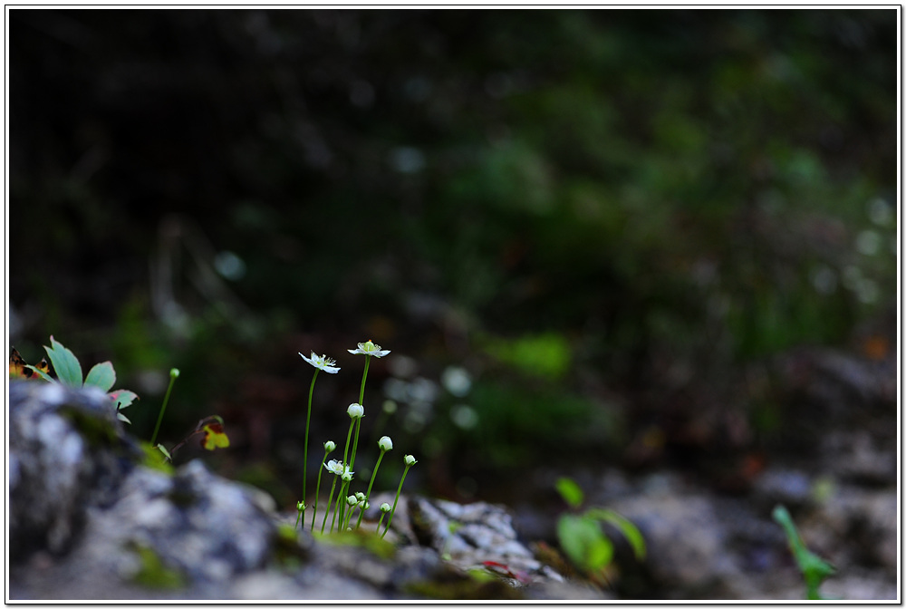 DSC_2095.jpg